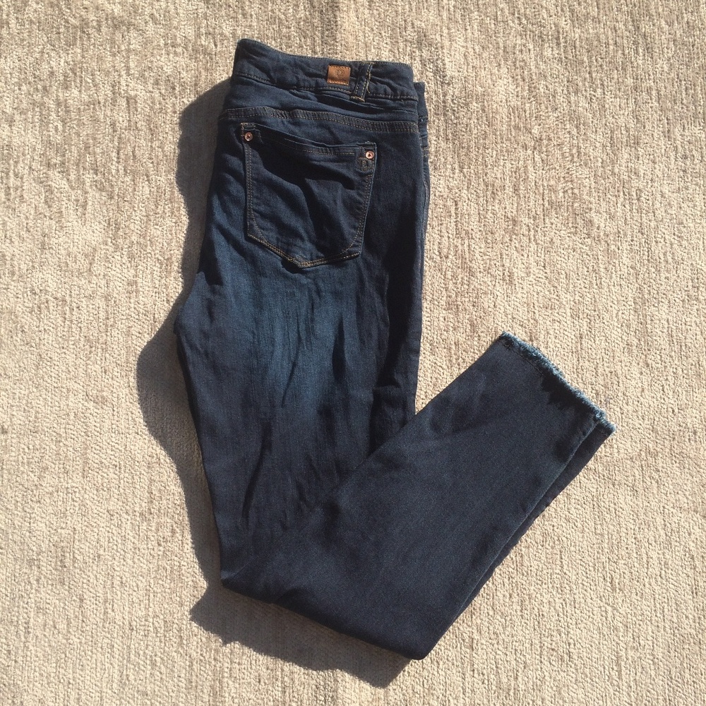 Democracy Freedom Ankle Skimmer Jeans Skinny 14